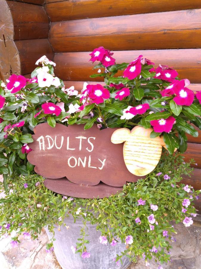Chalet Le Paradou Adults Only Lessive Exteriör bild
